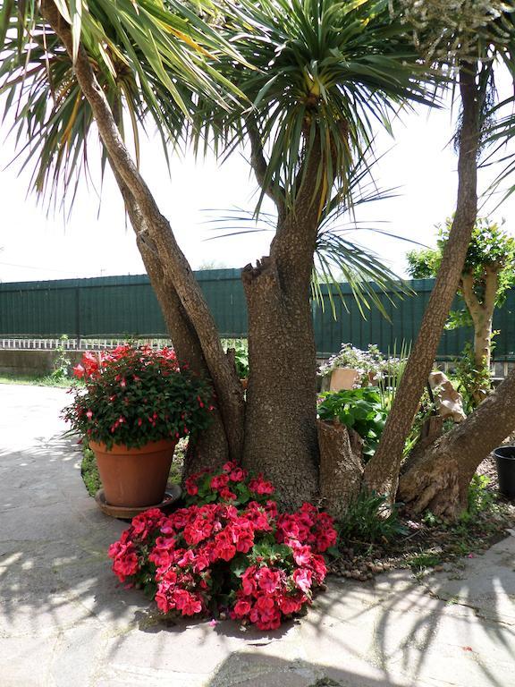 B&B Villino Lory Marino Exterior foto